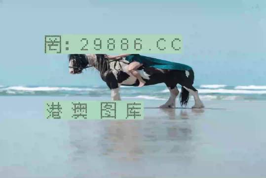 第2頁