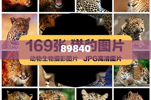 揭秘新奧集團(tuán)，展望未來的最新資料，探尋五不中的奧秘，新奧集團(tuán)未來展望，探尋五不中的奧秘與揭秘最新發(fā)展資料