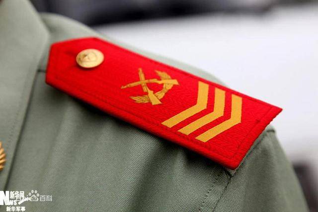 解析軍士長與士官長的差異，職責、權利及地位的對比，解析軍士長與士官長的職責、權利與地位差異對比