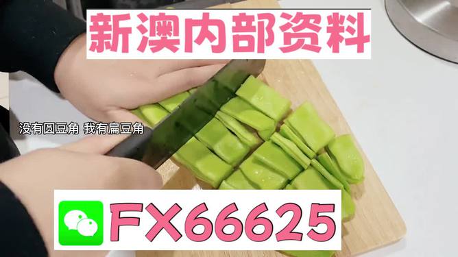新澳精準(zhǔn)資料免費提供，探索與解析，新澳精準(zhǔn)資料解析與探索，免費提供的深度解讀