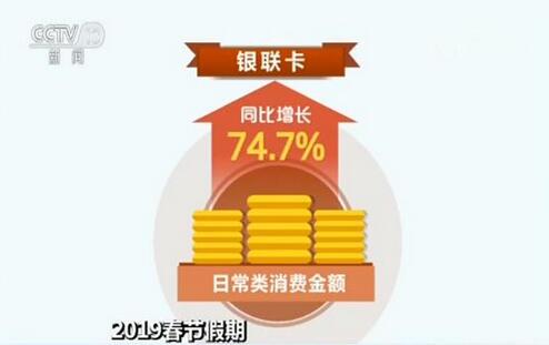 揭秘2019王中王四肖期期準一，探索背后的秘密與真相，揭秘王中王四肖期期準一，探索背后的真相與秘密