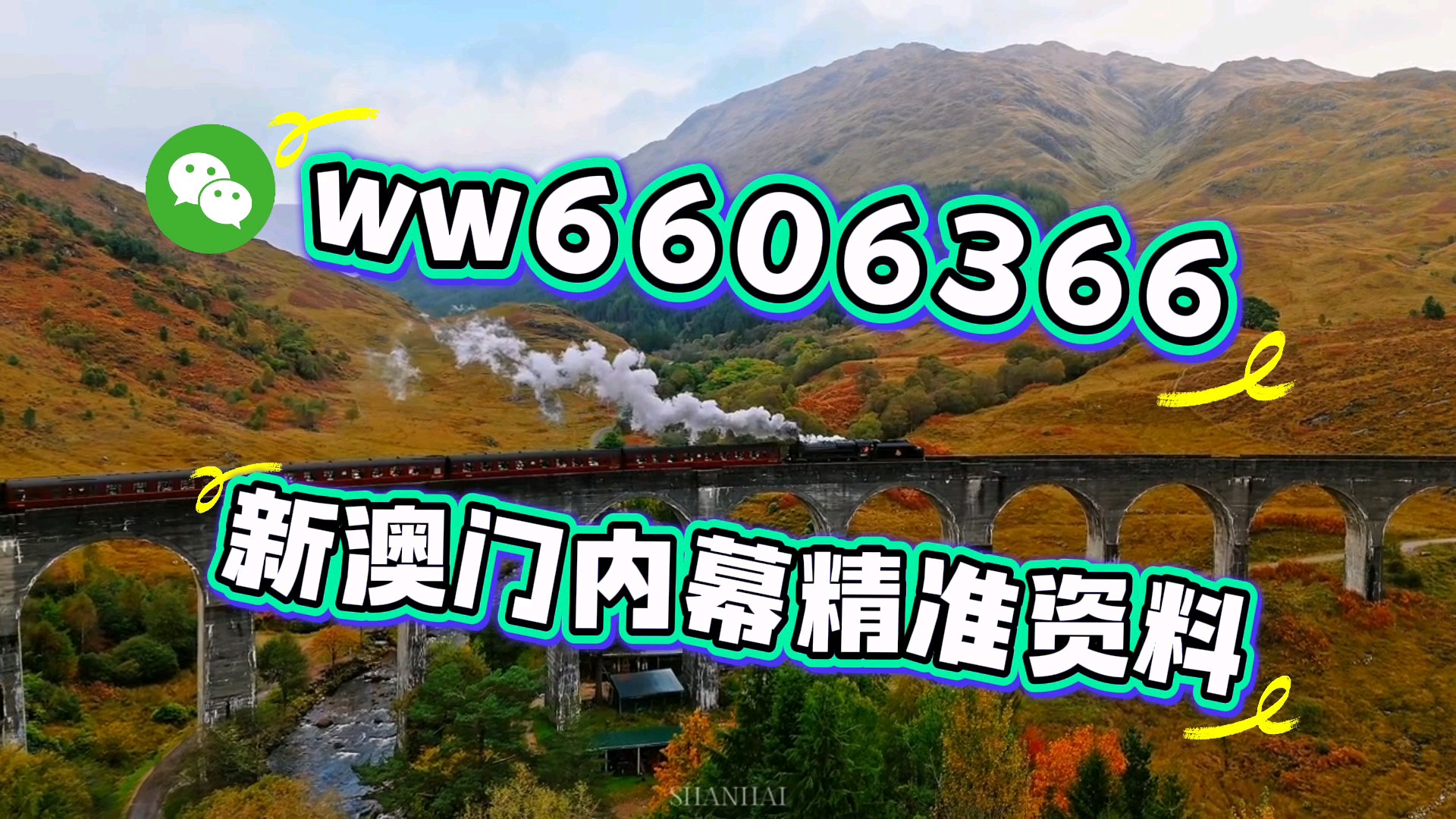 澳門一肖一碼期期準資料，揭秘與探索，澳門一肖一碼期期準資料揭秘，精準探索的背后秘密