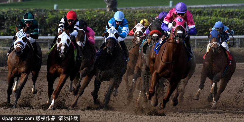 王中王內部必中一肖——揭秘彩票背后的秘密，揭秘彩票王中王內部必中一肖的神秘秘密