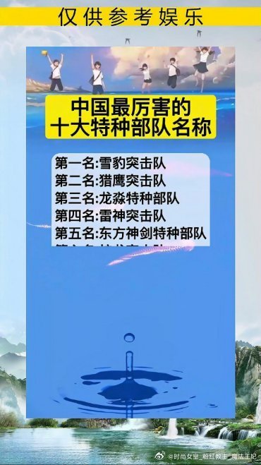 中國十大頂級特種部隊，神秘的力量與卓越的實力，中國十大頂級特種部隊，神秘力量與超凡實力揭秘